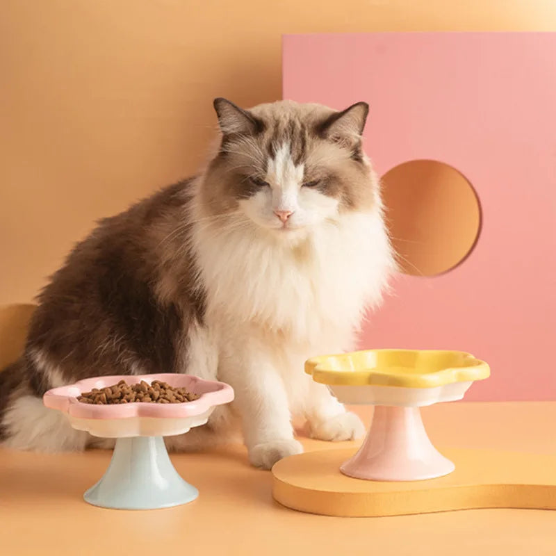 Ceramic Elevated Cat Bowl For Neck Protection