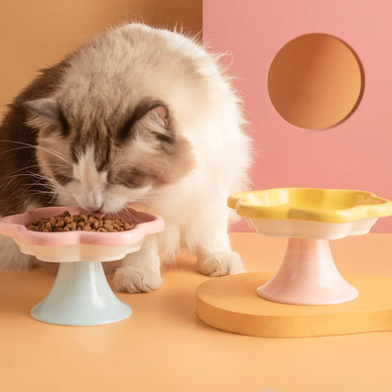 Ceramic Elevated Cat Bowl For Neck Protection